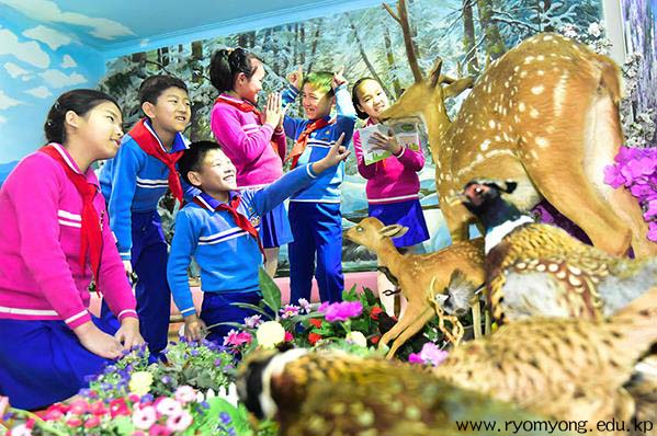 Pyongyang Primary School for Orphans Overflows with Happy Laughter