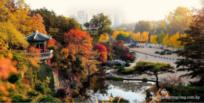 Paysage de la colline Moran en automne