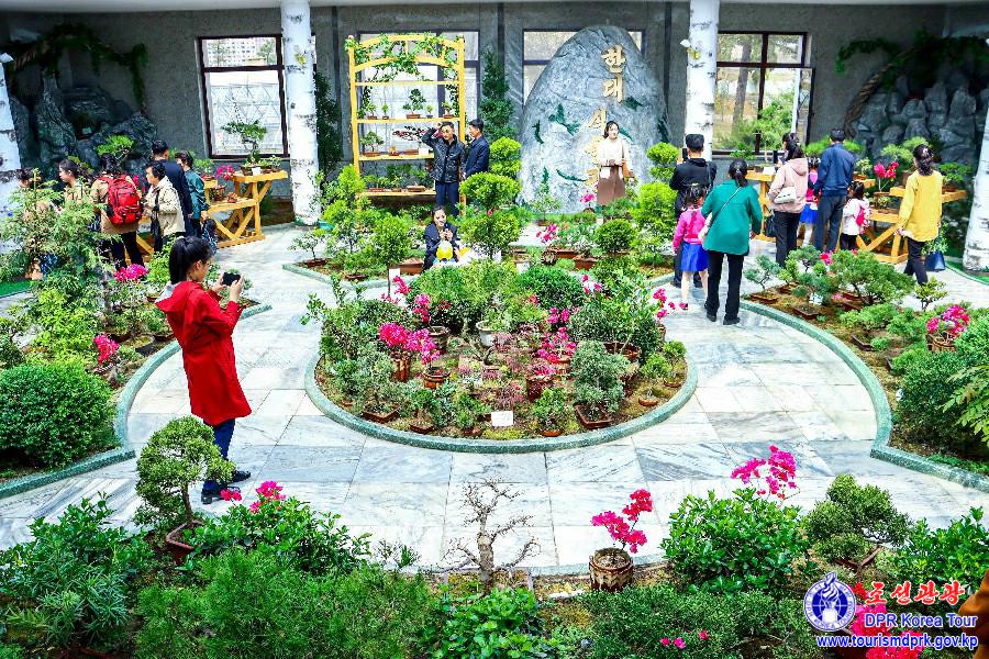 花卉祭典―2025