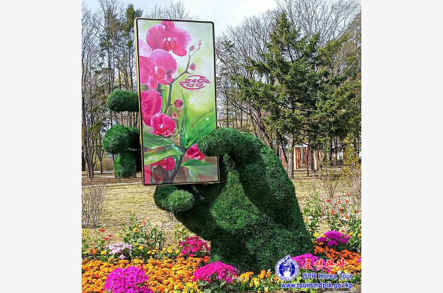 花卉祭典―2025