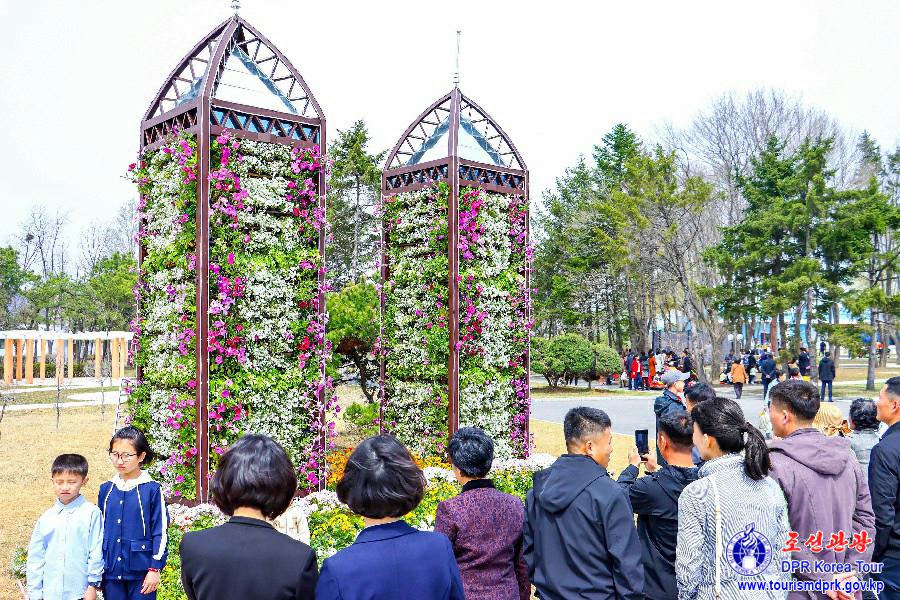 花卉祭典―2025