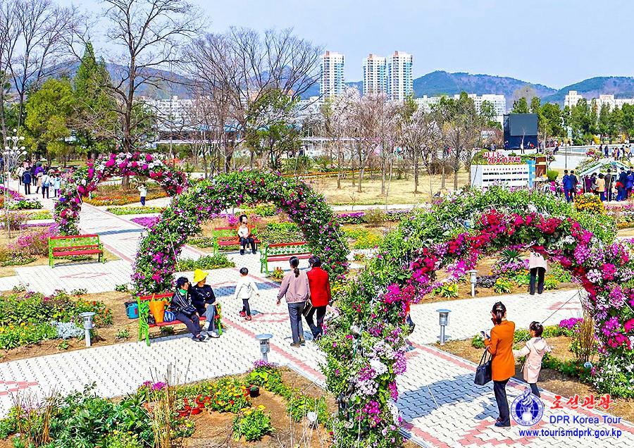 花卉祭典―2025