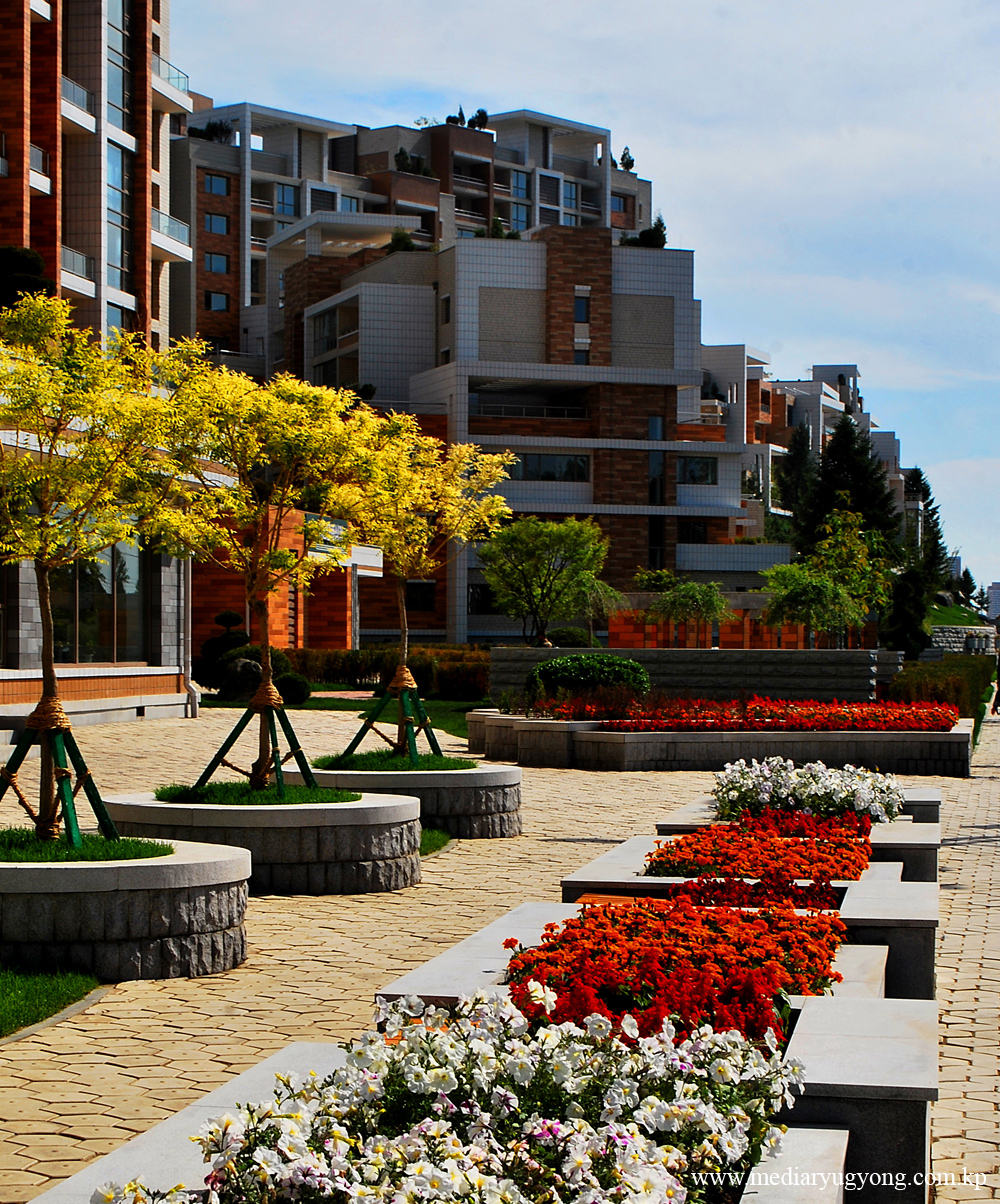 Pothonggang Terraced Residential District