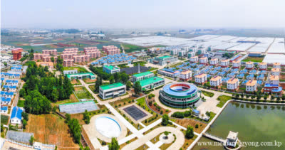 Granja de Hortalizas de Jangchon