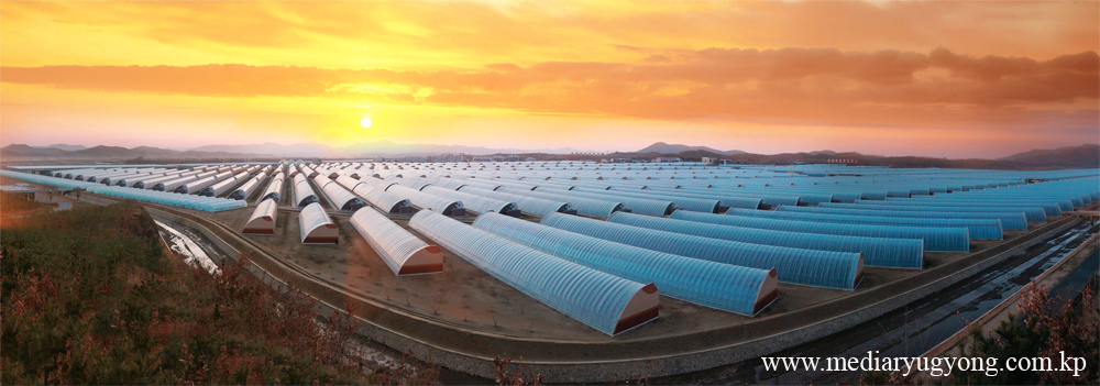 江东综合温室农场