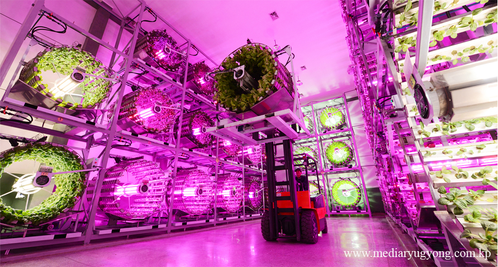 江东综合温室农场