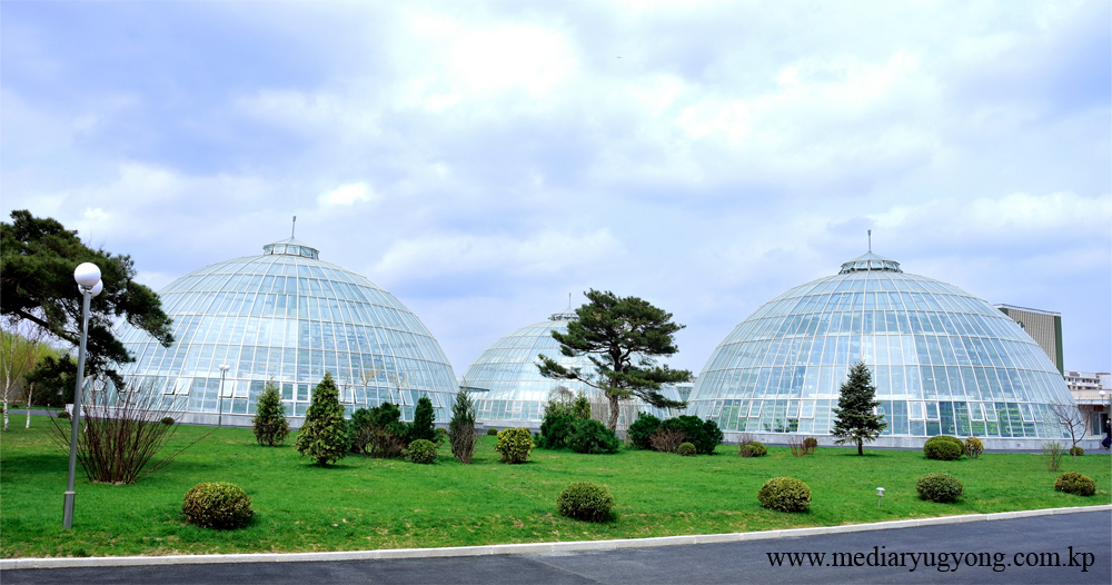 江东综合温室农场