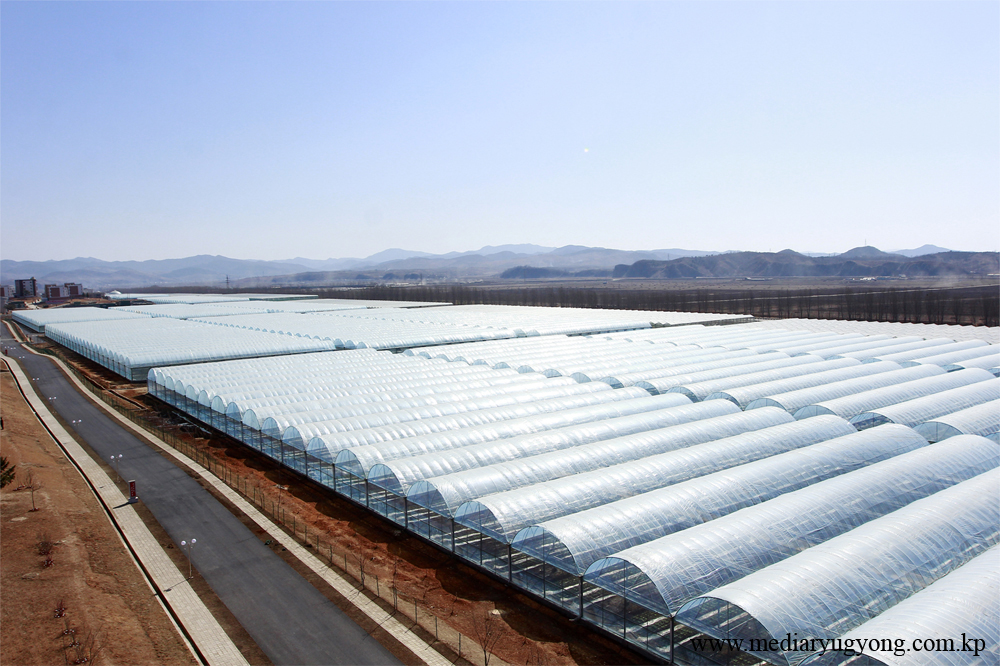 江东综合温室农场