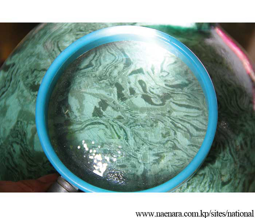 Spotted-Pattern Porcelain