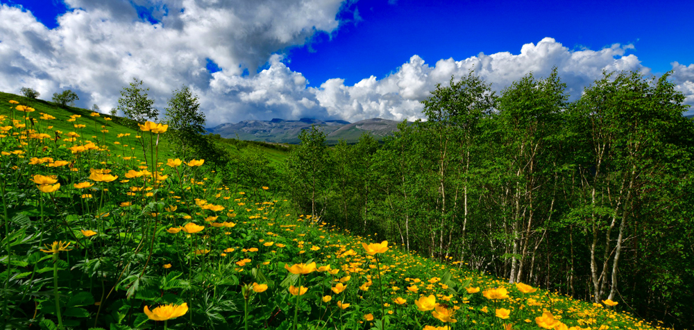 Nature in Mt Paektu