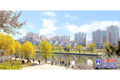 Beautiful Spring