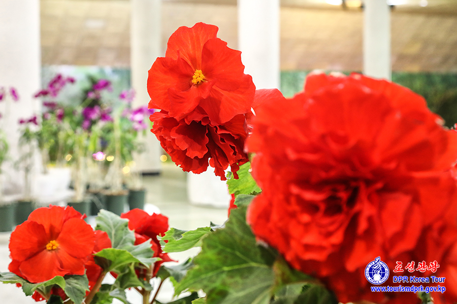 Flower Festival-2026
