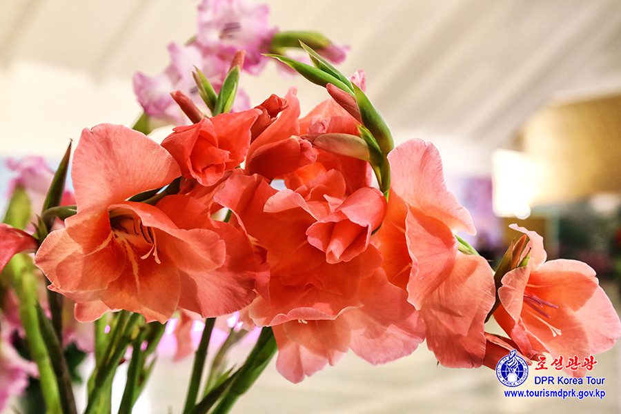 Flower Festival-2026