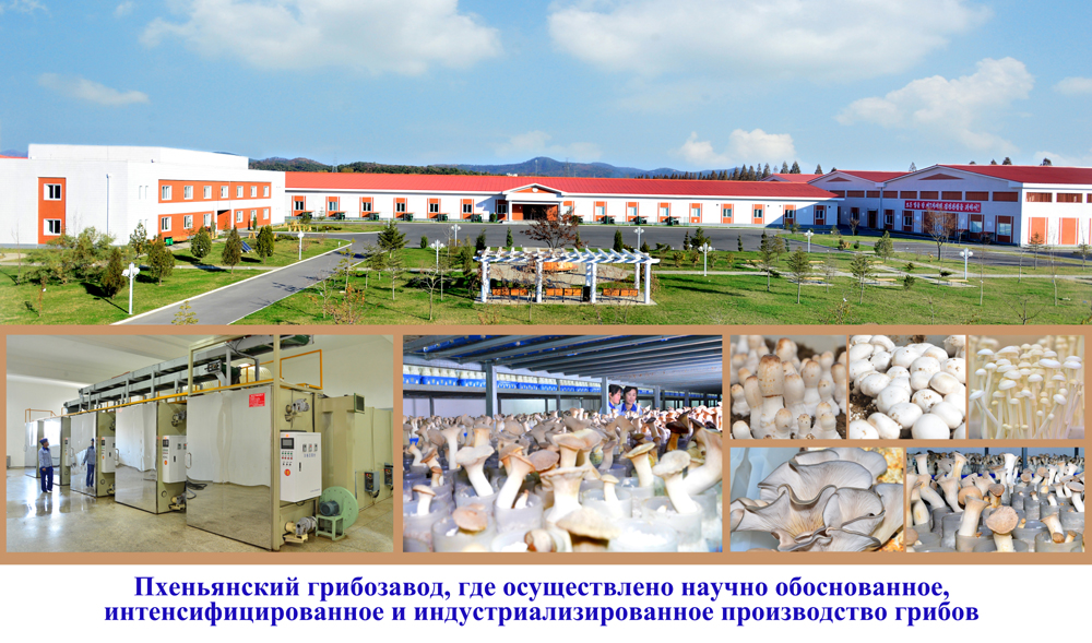 КНДР: 2017 год в фотографиях