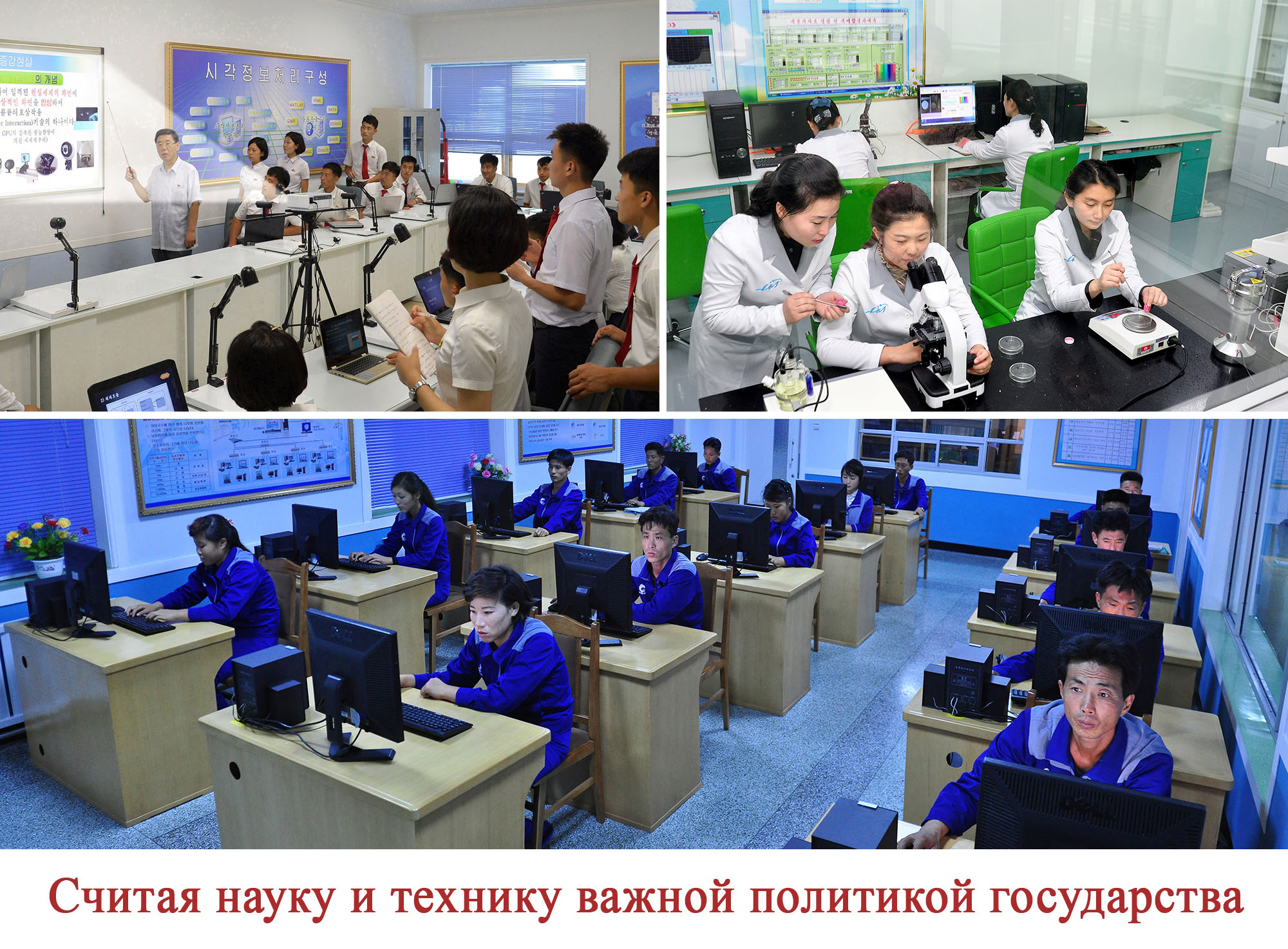 Восторг народа