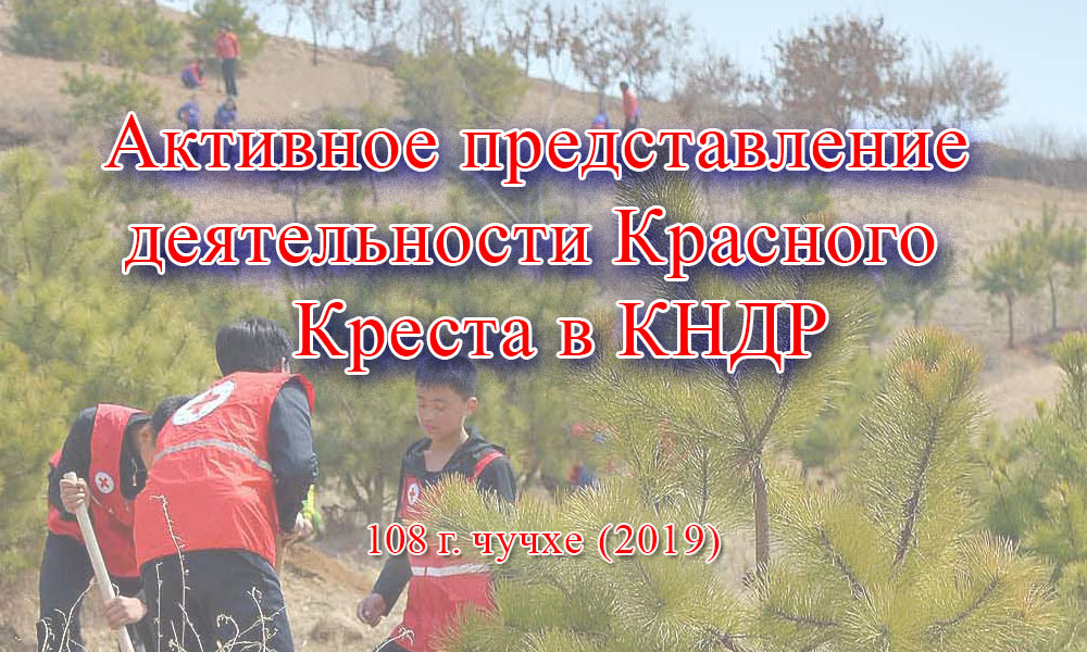 Активное представление деятельности Красного Креста в КНДР