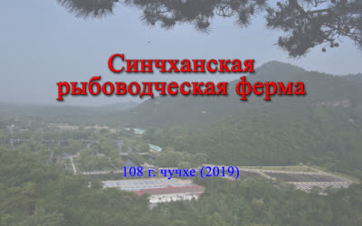 Синчханская рыбоводческая ферма
