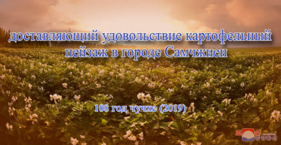 Доставляющий удовольствие картофельный пейзаж в уезде Самчжиен