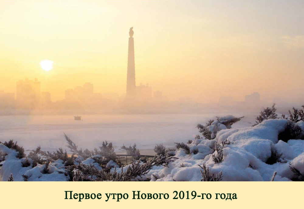 2019-ый год в фотографиях