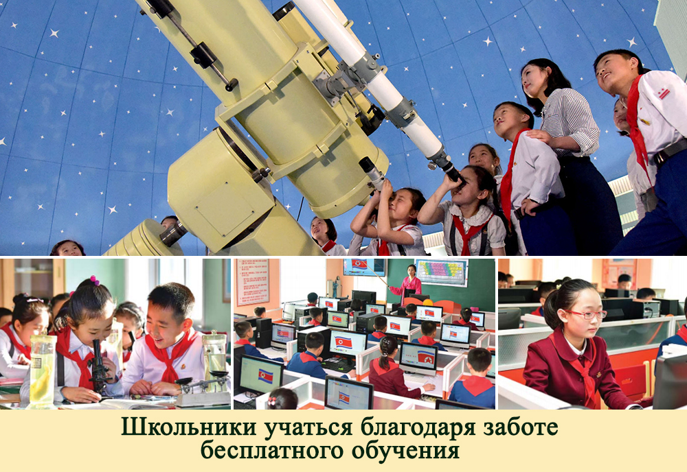 2019-ый год в фотографиях