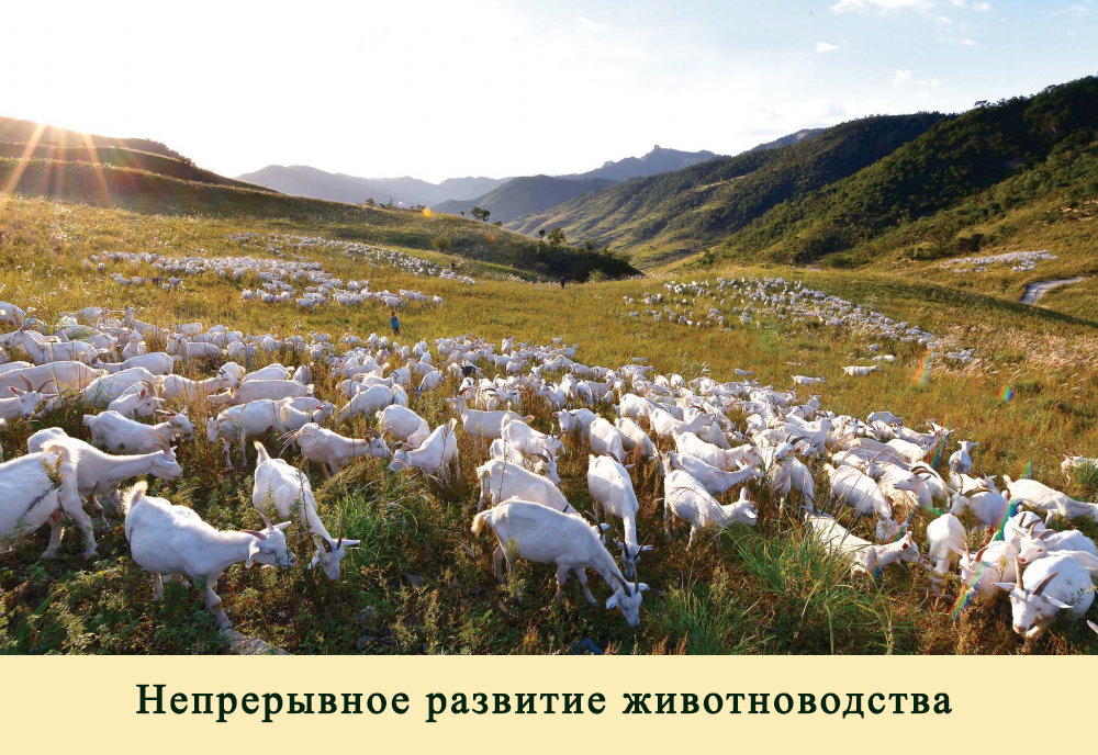2019-ый год в фотографиях