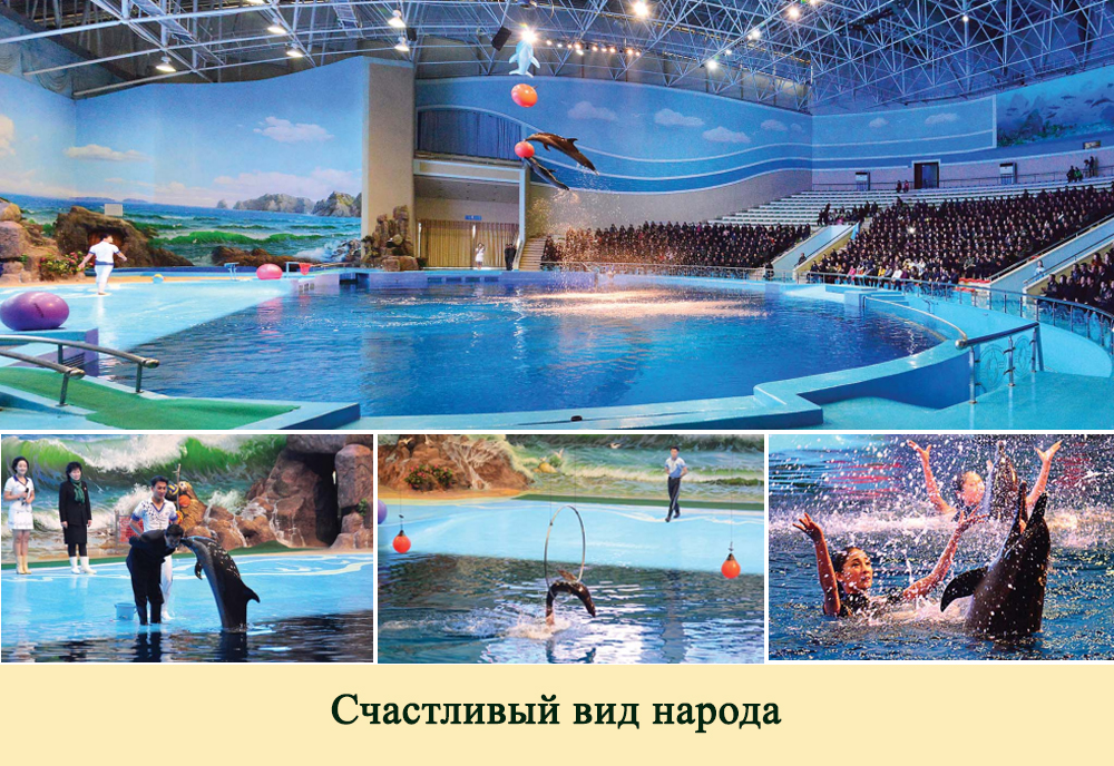 2019-ый год в фотографиях