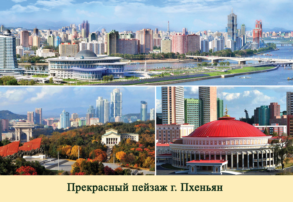 2019-ый год в фотографиях
