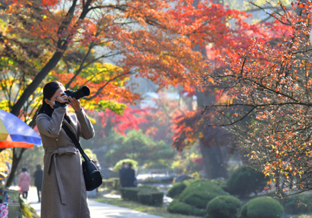 Наша жизнь(3)