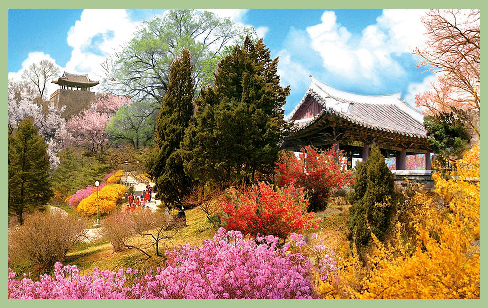 Сопка Моран