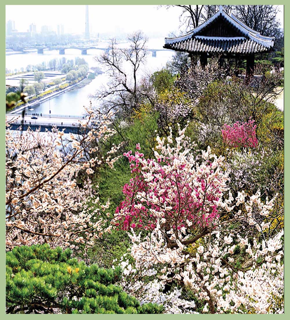 Сопка Моран