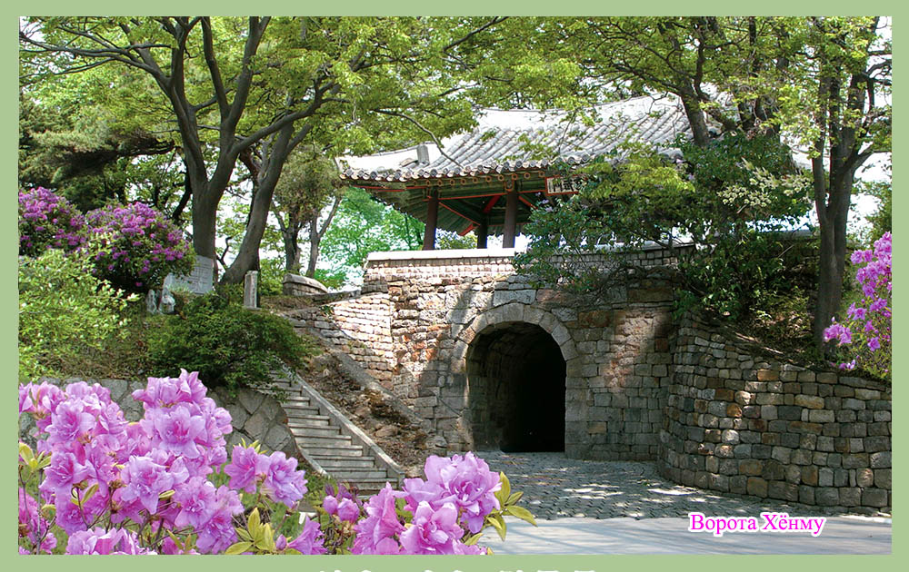 Сопка Моран