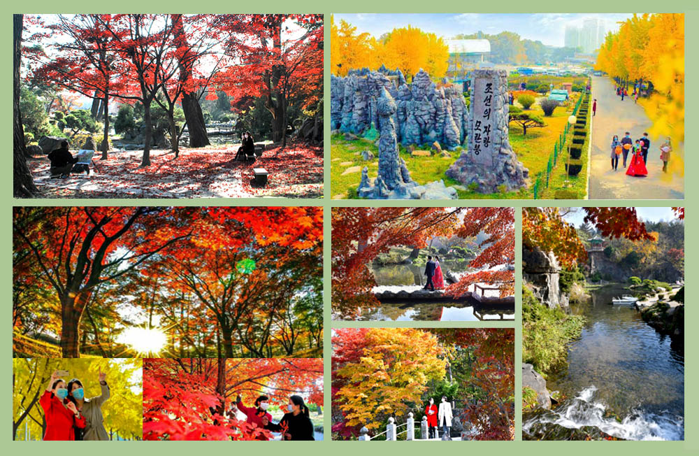 Сопка Моран