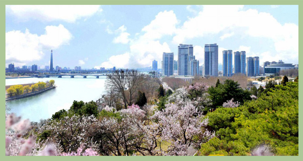 Сопка Моран