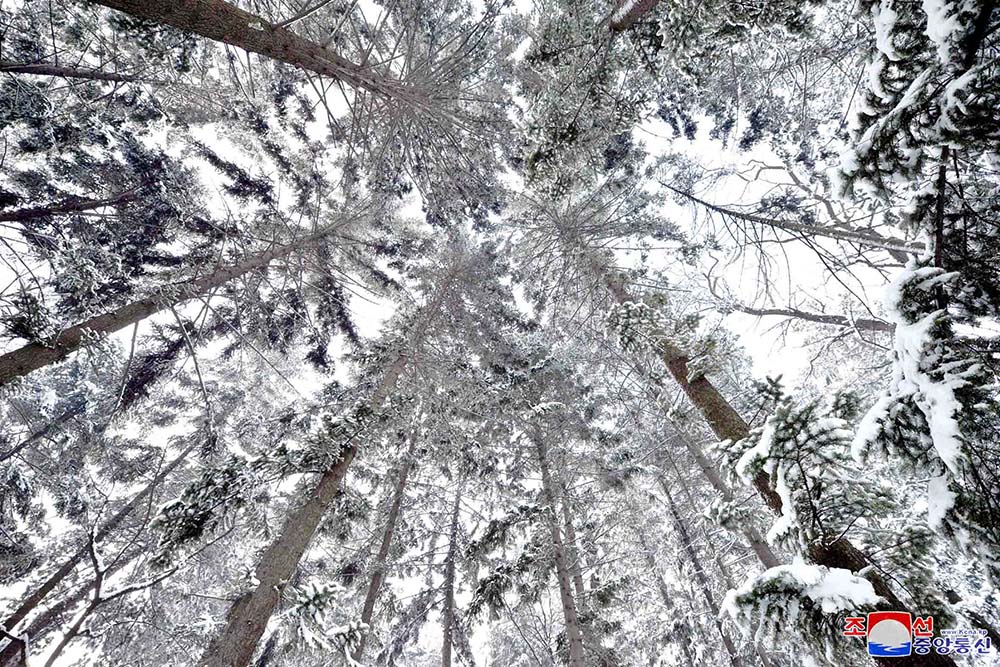 Зима в Пхеньяне