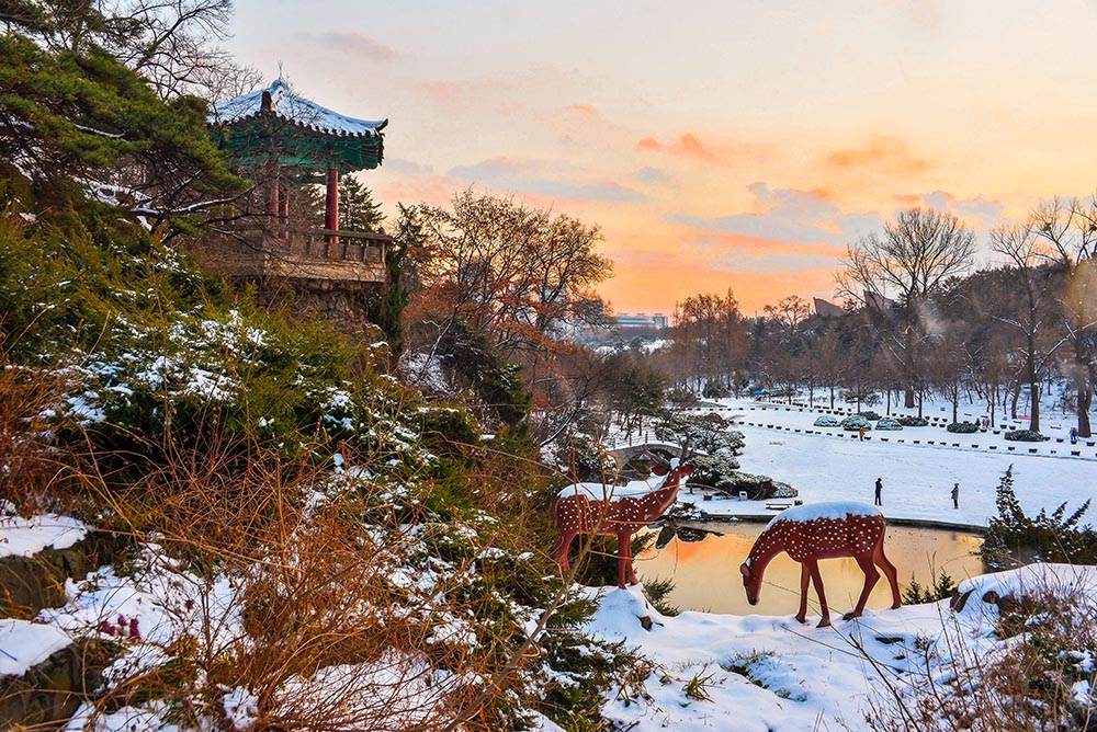 Зима в Пхеньяне