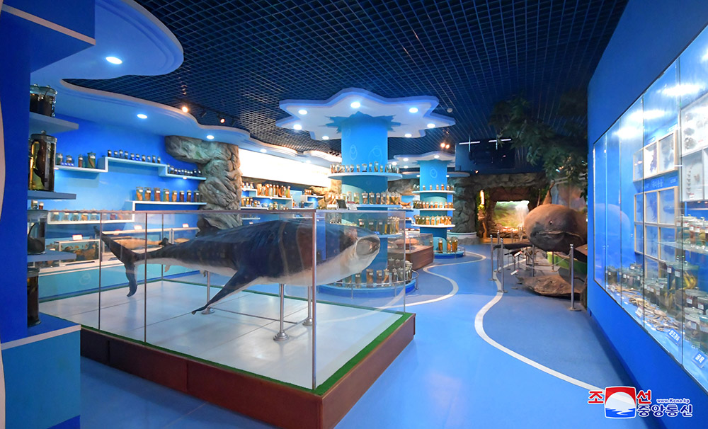 Museo de Historia Natural de la UniversidadKim Il Sung