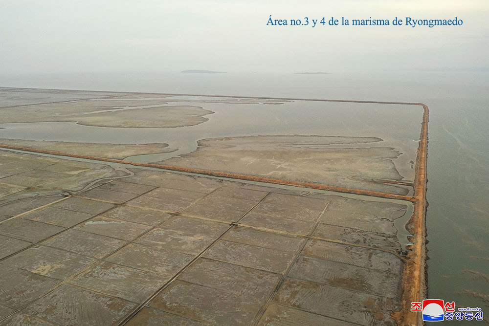 Marismas en la zona del Mar Oeste