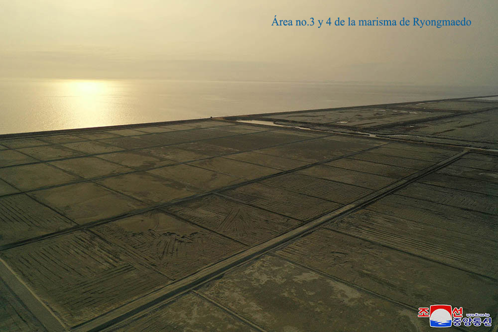 Marismas en la zona del Mar Oeste