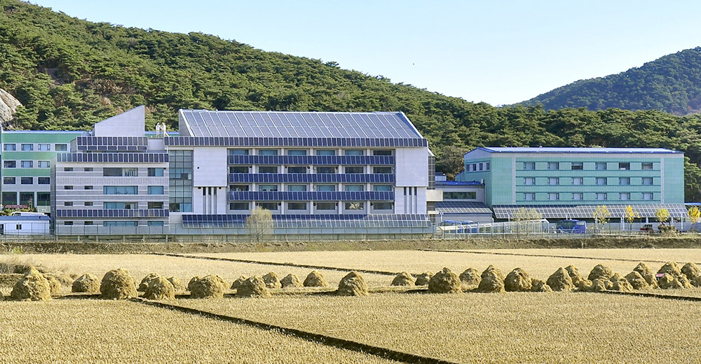 Uso de las energías naturales