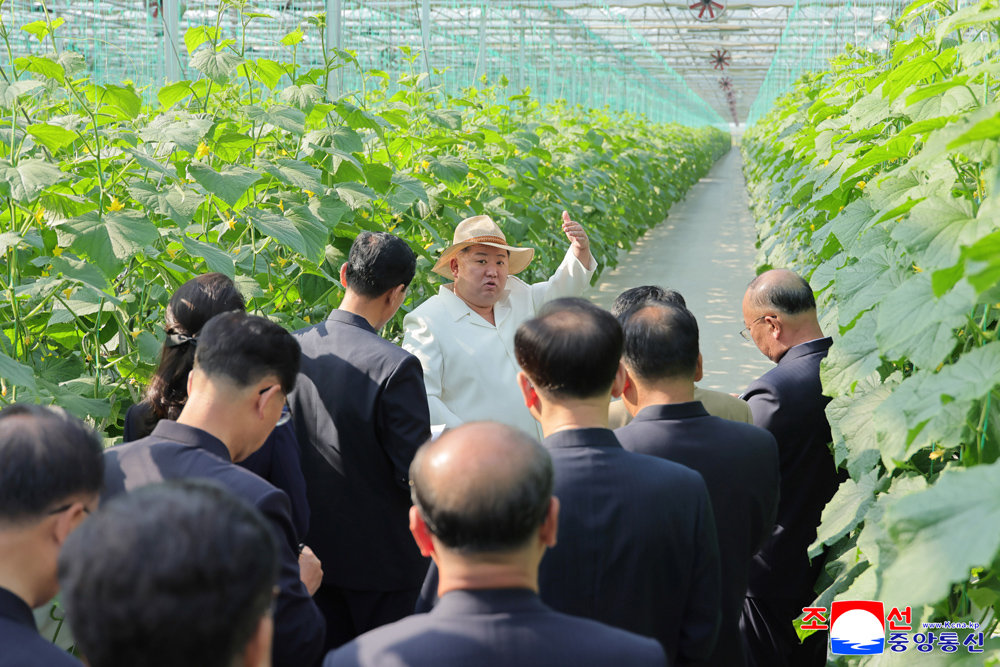 敬爱的金正恩同志视察新义州温室综合农场