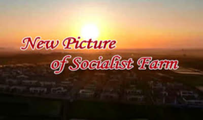 New Picture of Socialist Farm