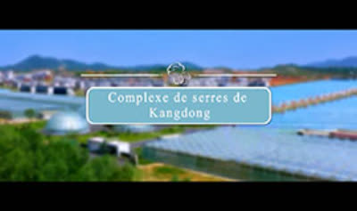 Complexe de serres de Kangdong