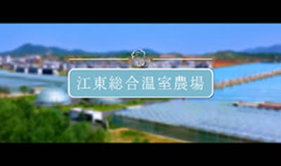 江東総合温室農場