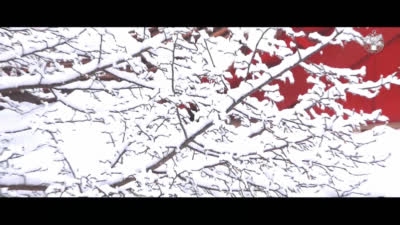 牡丹峰の雪景色