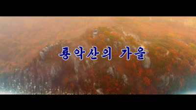 룡악산의 가을