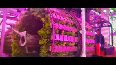 Kangdong Combined Greenhouse Farm