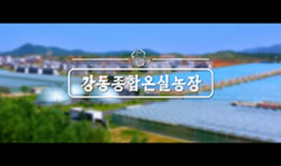 강동종합온실농장
