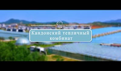 Кандонский тепличный комбинат